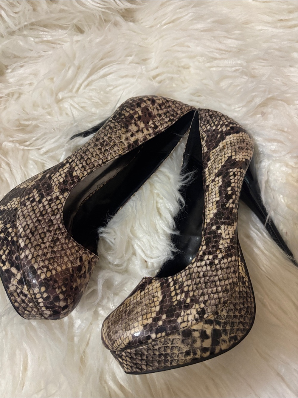 Charlotte russe snake print pumps round toe size 10